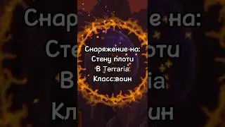 Снаряжение на:стену плоти,в Terraria,класс:воин 