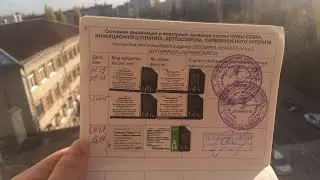 Вакцинация собак/ правила др и после прививки