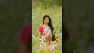 #MithiMithi #Uronchondi #ChitraSen #SudiptaChakraborty #RajnandiniPaul #NewBengaliSong #Shorts