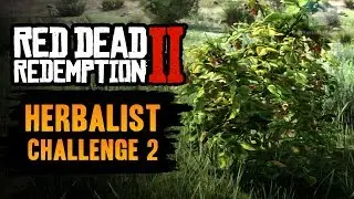 Red Dead Redemption 2 Herbalist Challenge #2 Guide - Pick and eat 4 species of berry