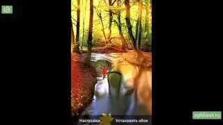Обзор - Осенний Лес Живые Обои - для Андроид