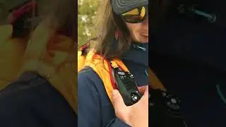 Walkie Talkie: Top Picks 2023! 