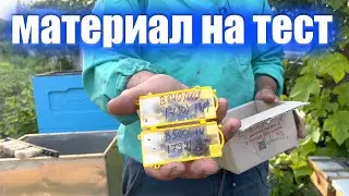 Бакфаст ИО
