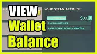 How to View your STEAM Wallet Balance (Steam Tutorial)