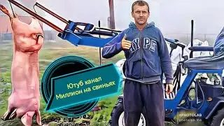 Привез новое поголовье на свое хозяйство !