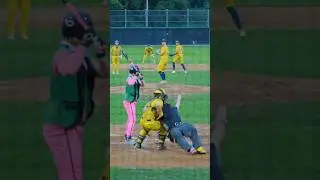 This Umpire Just Wanted to Dance | The Savannah Bananas