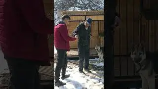 Команда 