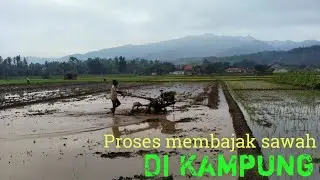 PROSES MEMBAJAK SAWAH DI KAMPUNG | | Indahnya suasana pagi hari