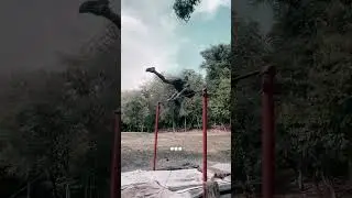 ... #воркаут #brazilian #турник #parkour #noomiclone #tiktok #спорт #motivation