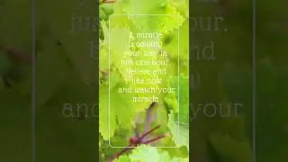 A Miracle Will Happen in 1 Hour! ✨ #Miracle #Manifestation #Blessings #LawOfAttraction #Shorts