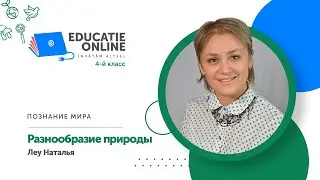 Познание мира, 4-й класс, Разнообразие природы