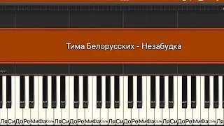 Тима Белорусских  - Незабудка на пианино 