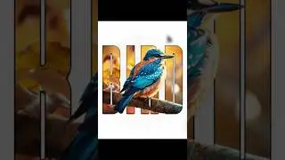 Bird Text Masking Effect in Photoshop 