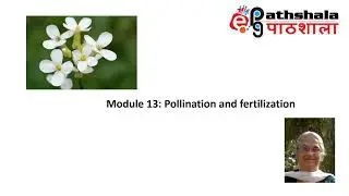 Module 13: Pollination and Fertilization #EPGPathshala