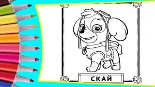 РАСКРАСКИ! РАСКРАШИВАЕМ КАРТИНКИ ИЗ МУЛЬТФИЛЬМА ЩЕНЯЧИЙ ПАТРУЛЬ СКАЙ