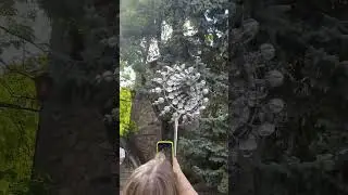 Необычная штука в Железноводске. Strange thing in Zheleznovodsk.