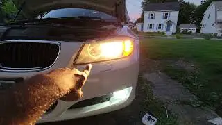 How to install LED fog light bulbs on a 2011 BMW 328i DIY