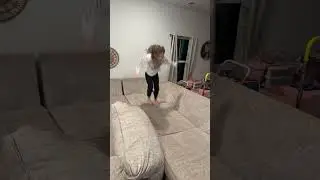 Scarlett and Ari jumping on the couch! 
