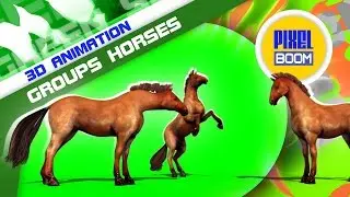 Green Screen Groups of Brown Horses Animals Run - Footage PixelBoom