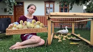Woman is creating small duck farm. Cooking amazing lunch with smoked ribs. Slow Countryside Life