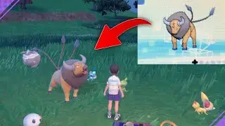 Transfer KANTO Tauros to Scarlet and Violet