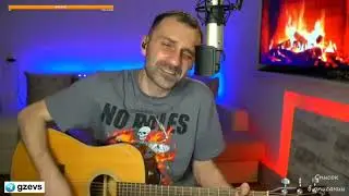 ДДТ - Ты не один / кавер (by Grisha Zevs)