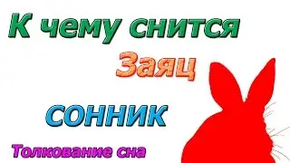 Сонник  К чему снится заяц