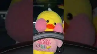 ЛАЛАФАНФАН УТОЧКИ В МАШИНЕ ! 