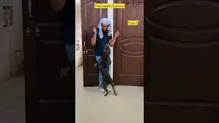 Don’t miss the end😂 #comedy #funny #funnyvideos #comedyvideos