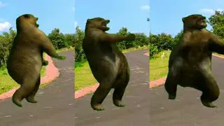 Top green screen bear dance/vfx/graphics/bear dance/free use/green screen dance/animation/munees art