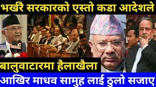 दामदार ओली लाई हेर्नुस् एस्तो आदेशले माधव समुह लाई ठुलो झटका बाफ्रे pm kp oli