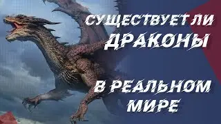 Существуют ли драконы в реальной жизни