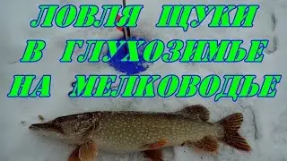Ловля щуки в глухозимье на мелководье.