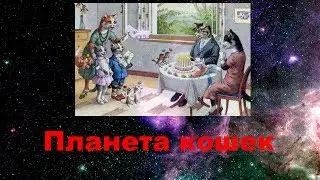 Планета кошек Детская песня про котов и кошек