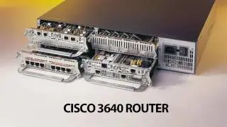 CCNP Training Courses I How to pass Cisco CCNP Exam