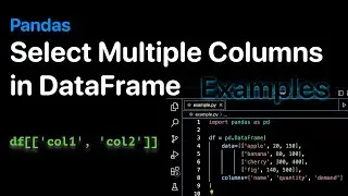 How to select Multiple Columns in a Pandas DataFrames - Examples | ProgramGuru.org