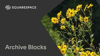 Archive Blocks | Squarespace 7.1