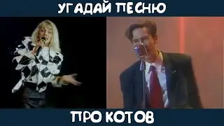 Угадай песню про котов и кошек