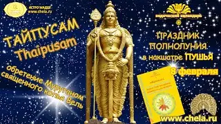 Полнолуние 8 февраля в накшатре Пушья. Праздник Тай Пусам. //Муруган. Марс. //Пушья, джйотиш