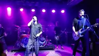 Pop Evil Survivor live