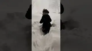 НАСТОЯЩАЯ метель на Сахалине. 24.01.2024 