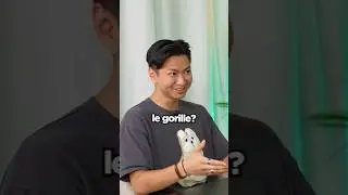 Le plus fort des humains peut-il battre le plus faible des gorilles ?