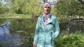 Нетронутый уголок дикой природы в Питере