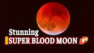 Lunar Eclipse 2021: ‘Super Blood Moon’ Leaves Millions Of Stargazers Mesmerised | OTV News