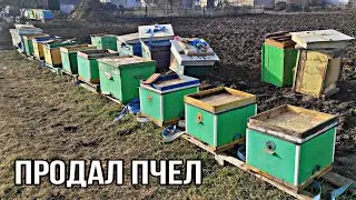 ПРОДАЛ ПЧЕЛ 2021 !!!