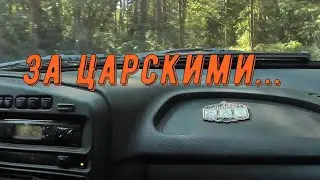 За царскими... (сентябрь 2023)