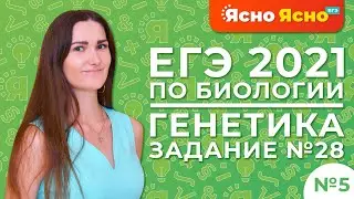 ЕГЭ по биологии 2021 | Генетика | Задача линии 28 по биологии | 5-ая часть | Ясно Ясно ЕГЭ