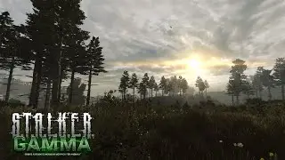 S.T.A.L.K.E.R - GAMMA - Invictus - Merc 6