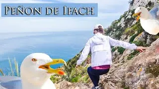 Extreme Hike with Seagulls Peñon de Ifach in Calpe | Is it worth the effort?