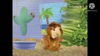 Wonder Pets Hawaii Song French. (Read Description)